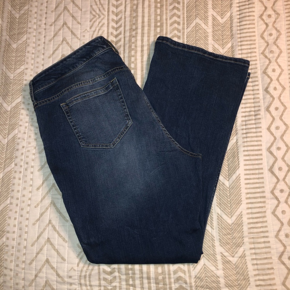 Torrid Bootcut Jean